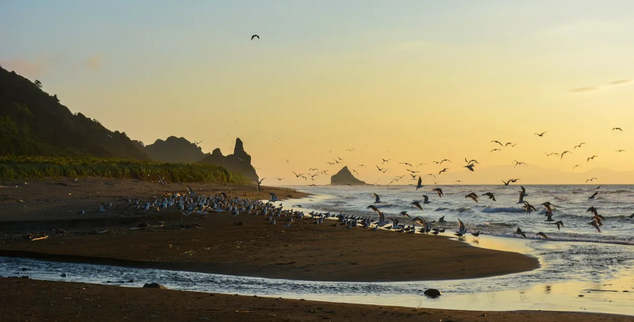 Борьба за острова получила новый импульс​ / pixabay.com