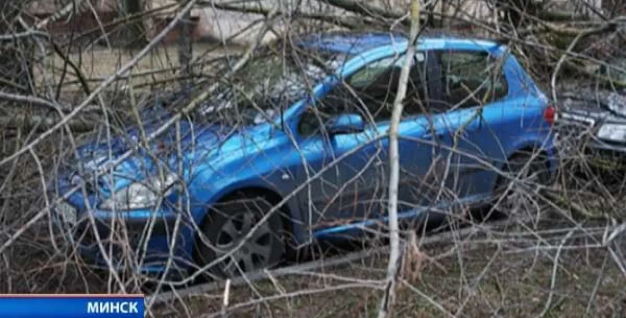 У Мінску дрэвы пашкодзілі чатыры аўтамабілі