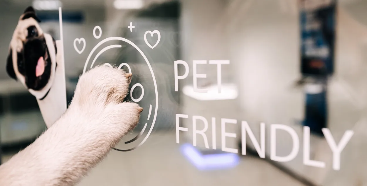 Pet-friendly аддзяленне банка / МТБанк