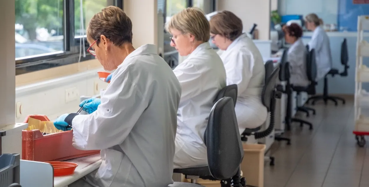 ЗША дапамогуць Беларусі змагацца з каранавірусам — вылучаць 1,3 мільёна долараў