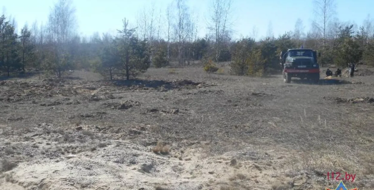 У лесе пад Бабруйскам знайшлі склад боепрыпасаў (фота, відэа)