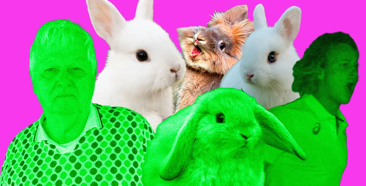 У нас добрыя навіны / Еўрарадыё