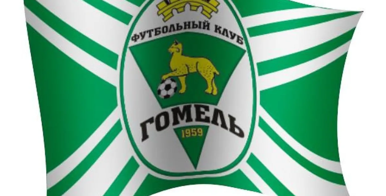 Фанаты ФК “Гомель” запалілі фаеры і выбеглі на поле на матчы ў Смалявічах