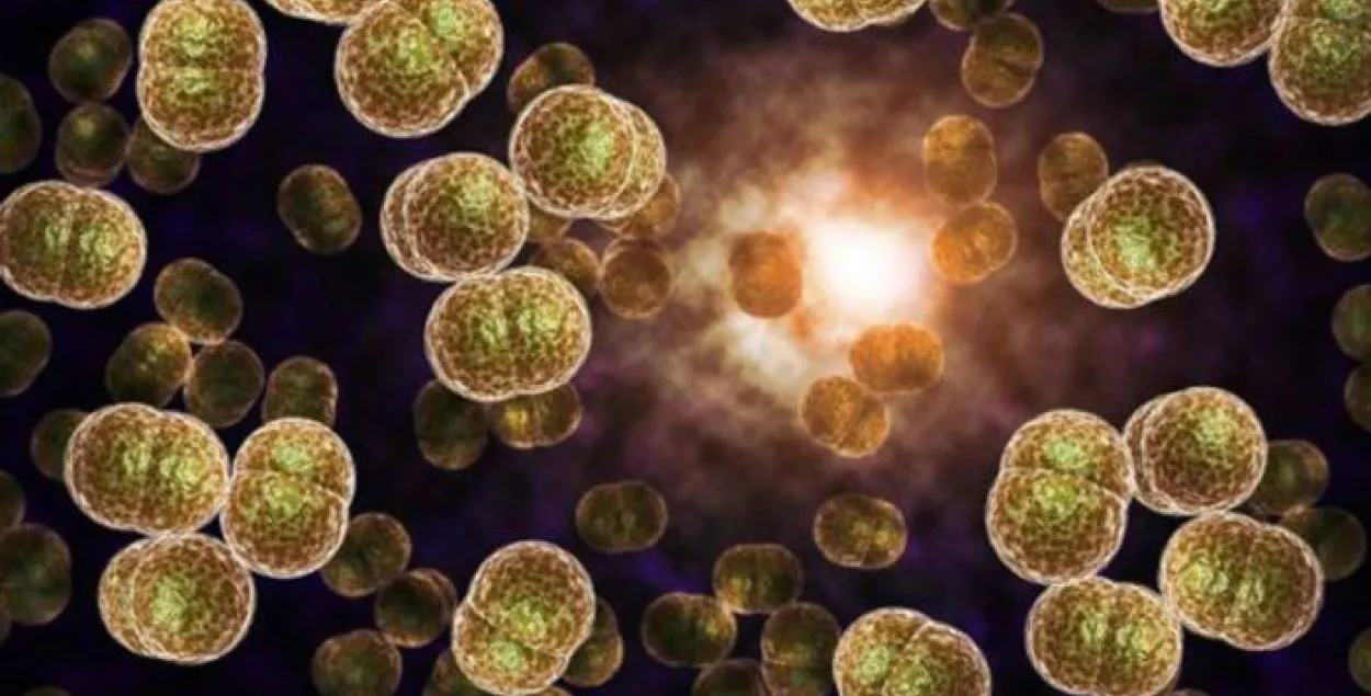 Галоўны лекар Англіі: ганарэя можа стаць невылечнай хваробай