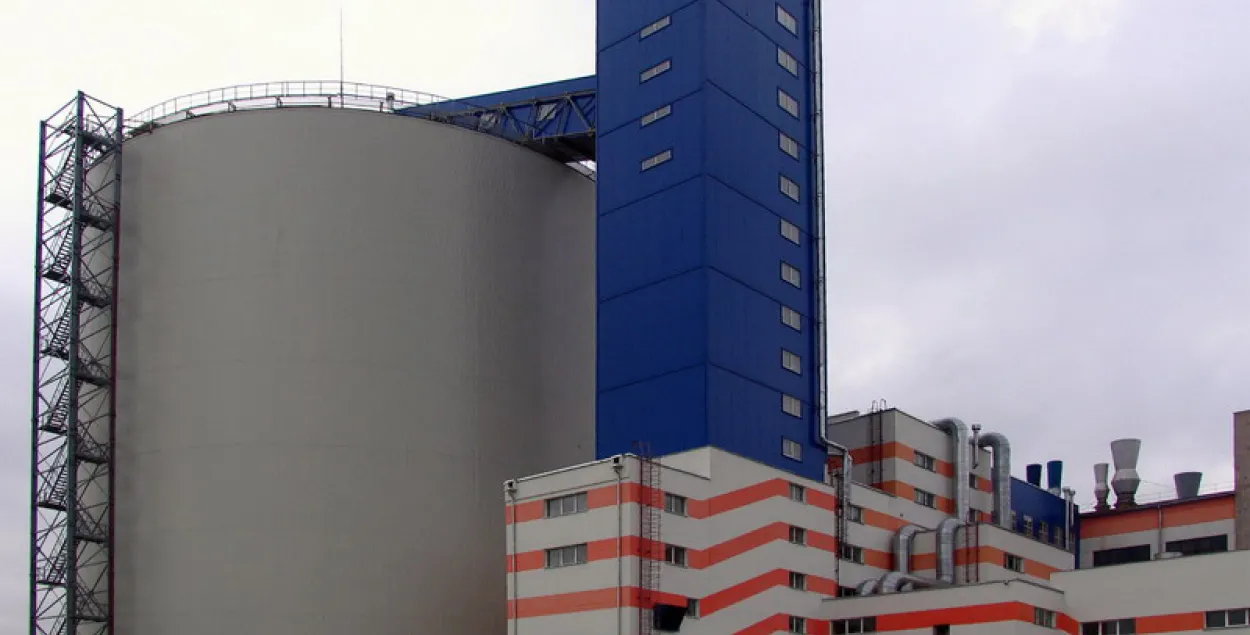 На Гарадзейскім цукровым камбінаце начальнік вытворчасці зваліўся ў кіпень