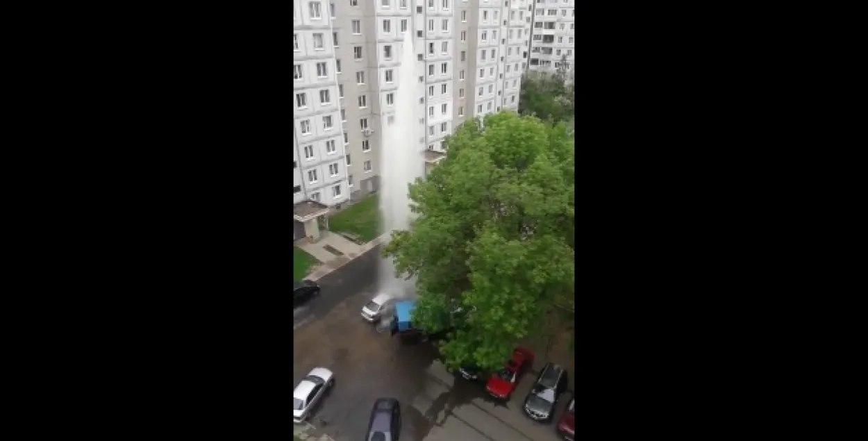 Фото: скриншот с видео.