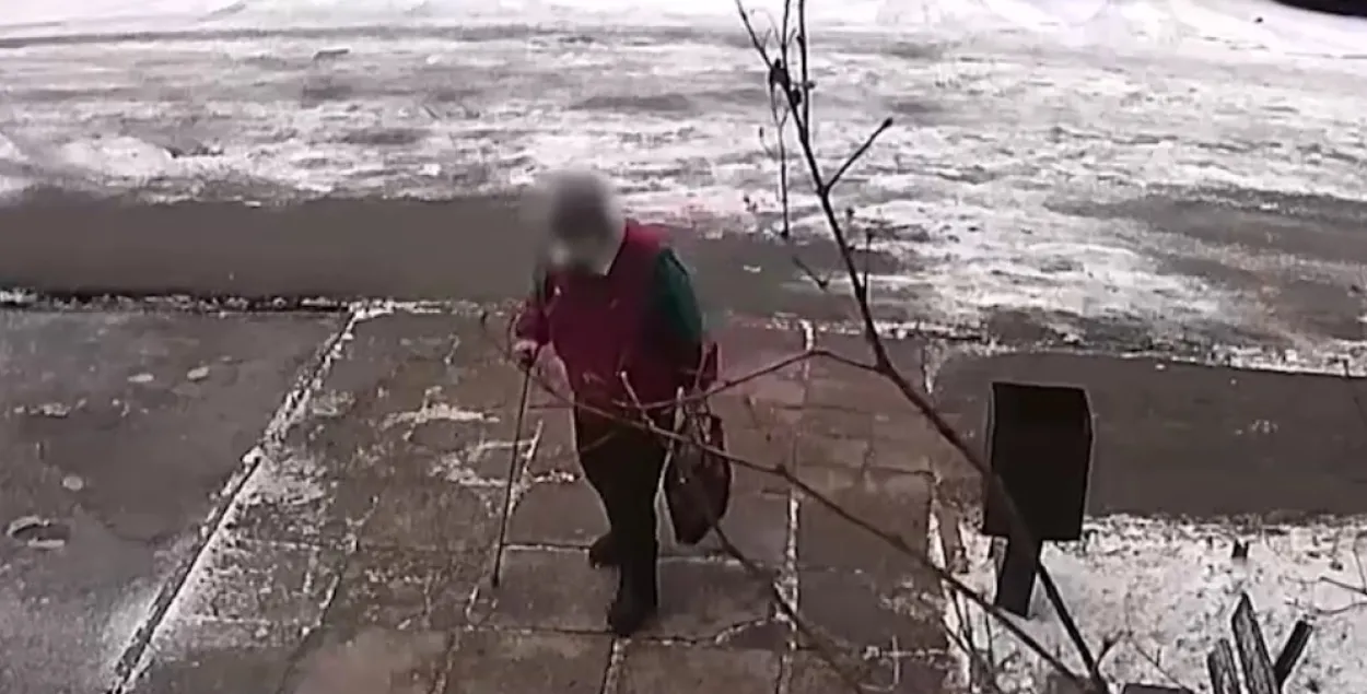 Пенсионерка за несколько секунд до нападения / Скриншот с видео МВД