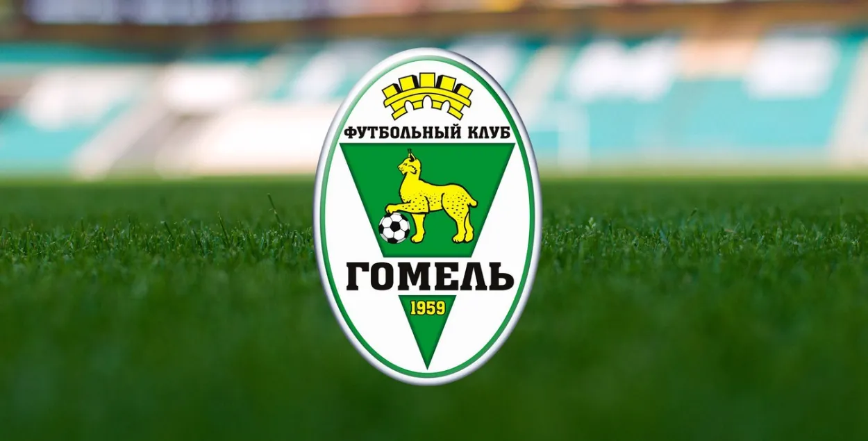 Эмблема футбольнага клуба "Гомель"