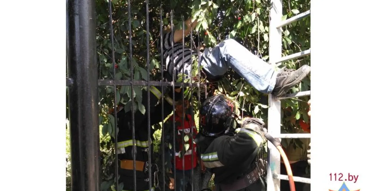 Фотафакт: у Брэсце ратавалі мужчыну, які ўпаў на металічны плот