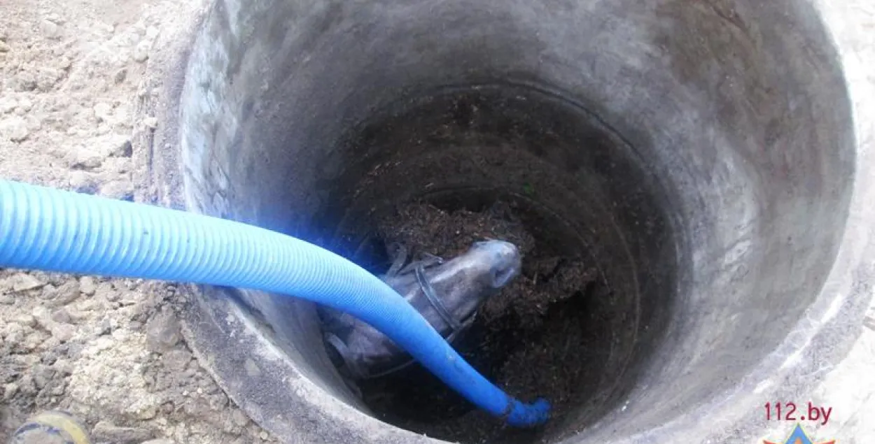 У Іванаўскім раёне з калодзежу выцягвалі каня (фота)