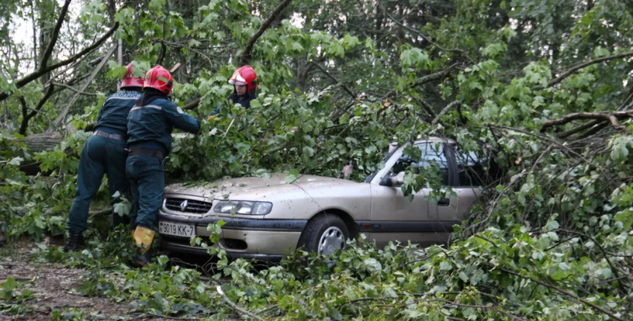 У Беларусі ад урагану пацярпелі 36 чалавек, 7 з іх шпіталізаваныя