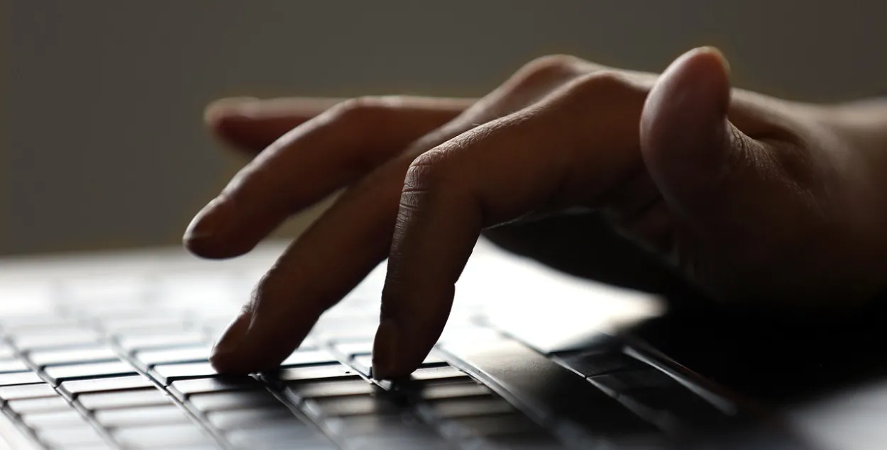 Литва готовится принять около 70 белорусских IT-компаний / pixabay.com
