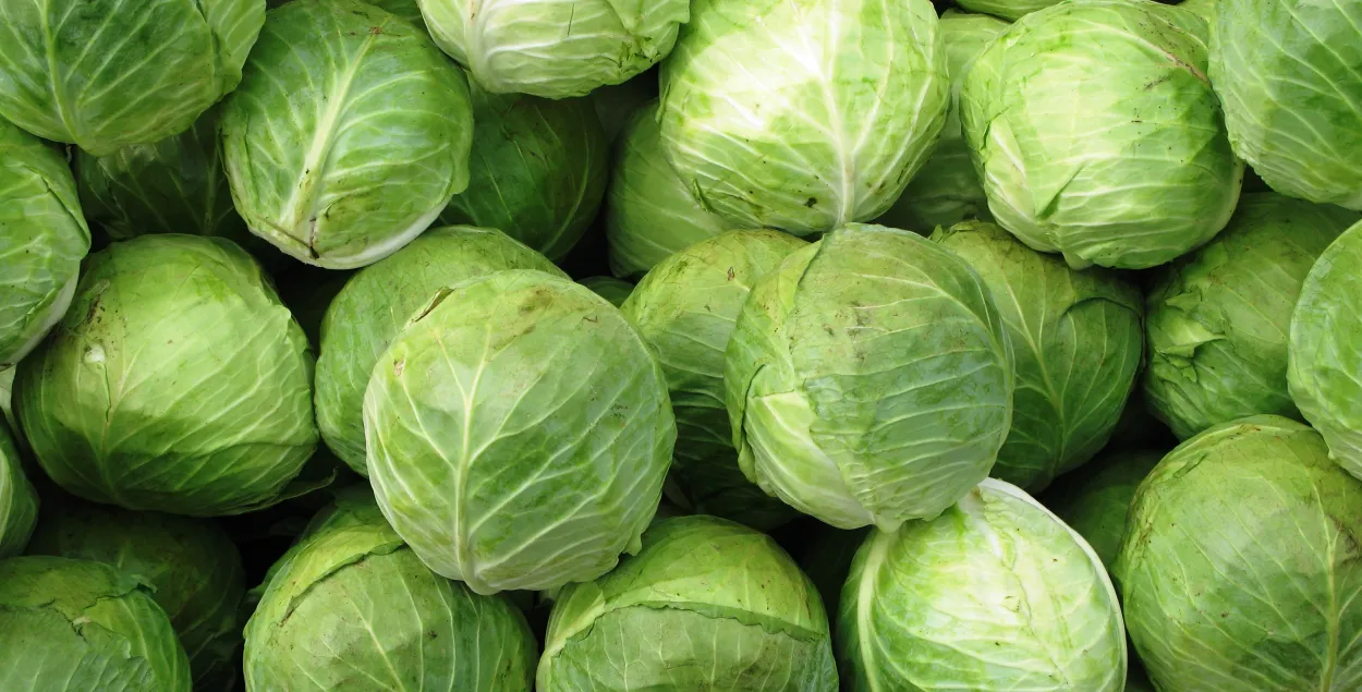 Трое жыхароў Брэста “настрыглі капусты” на 25 мільярдаў рублёў