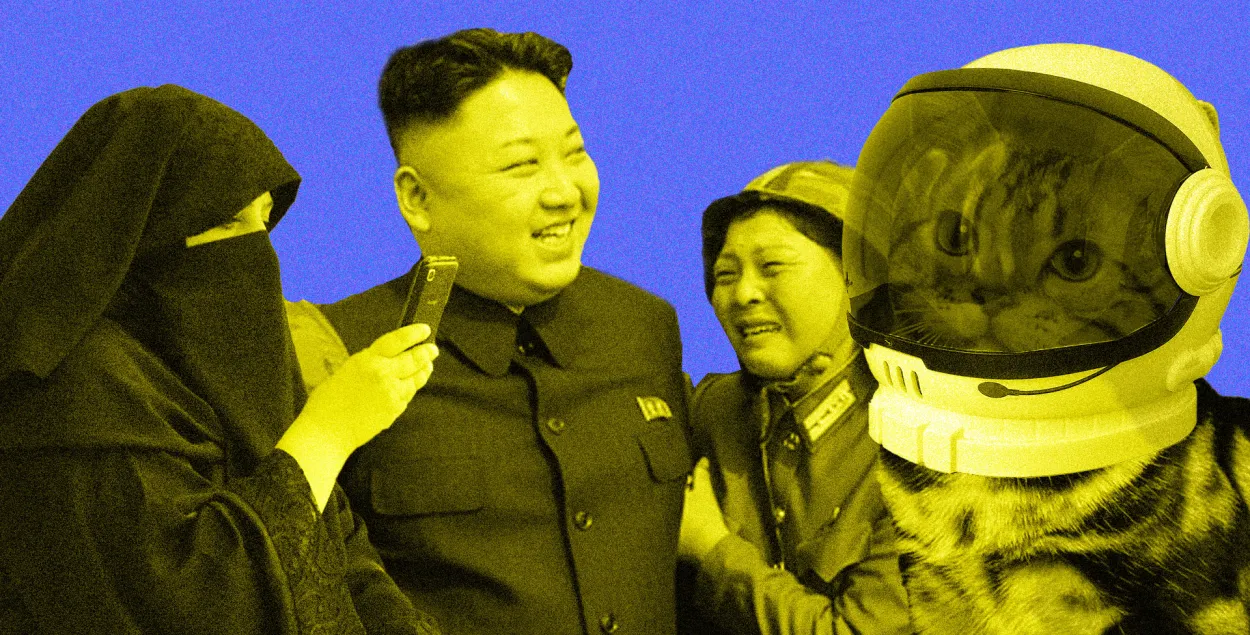 Выражаем озабоченность: на ракеты деньги найдутся и чудесное спасение кота