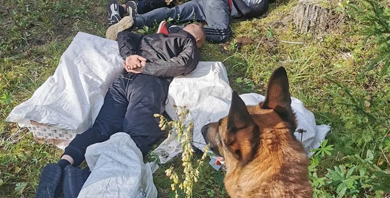 Даже в условиях ЧП на границе не прекращаются попытки пронести в Литву сигареты