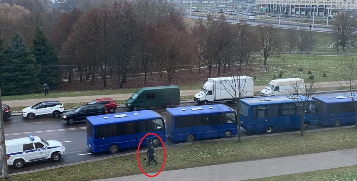 Силовики с собакой патрулируют улицу в Малиновке