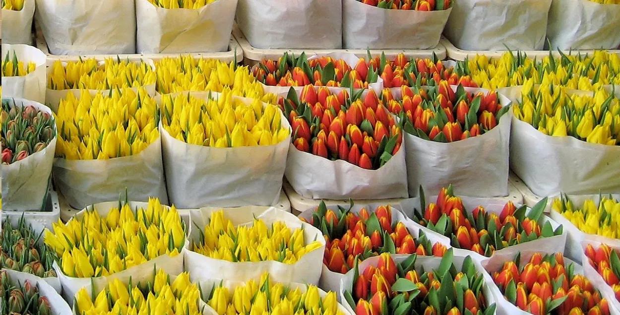 Мужчына сем гадоў незаконна гандляваў кветкамі, каб не плаціць крэдыты маці