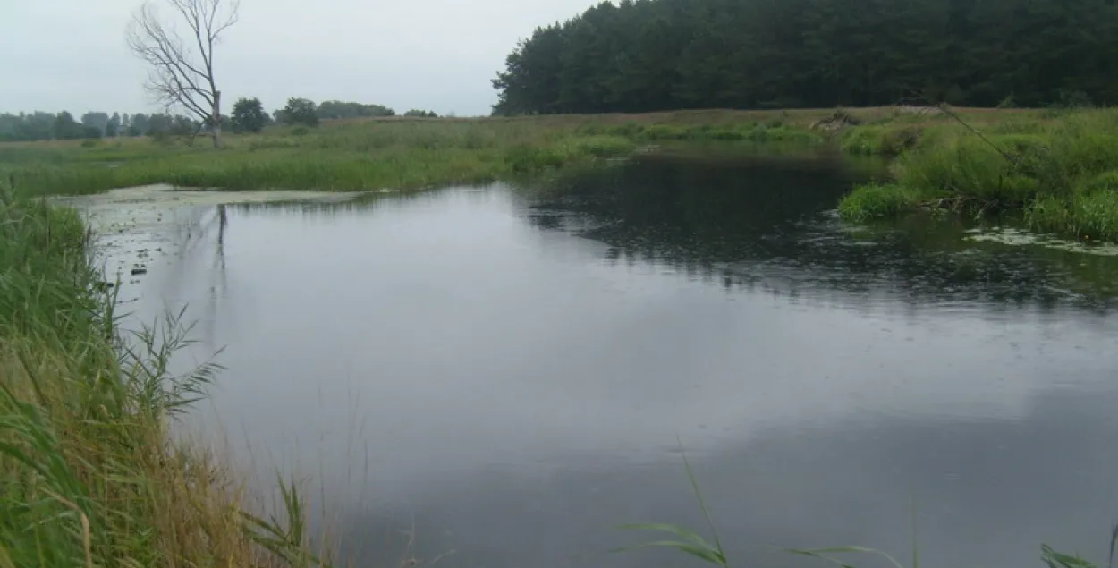 У Пружанскім раёне патануў 4-гадовы хлопчык