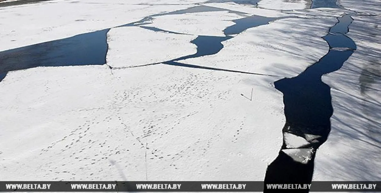 Фото: БЕЛТА