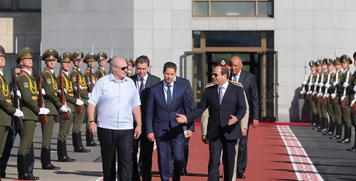 БЕЛТА
