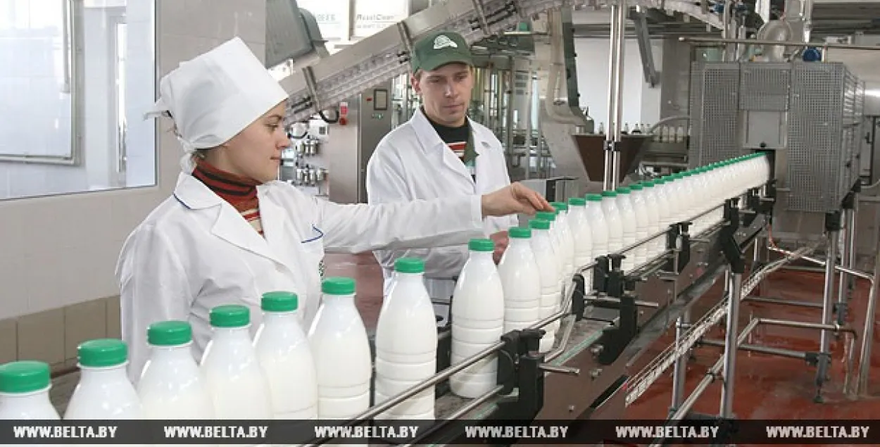 Мінсельгасхарч Беларусі не ведае, чаму Расія забараніла ўвоз малака