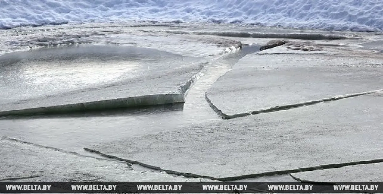 Фото: БЕЛТА