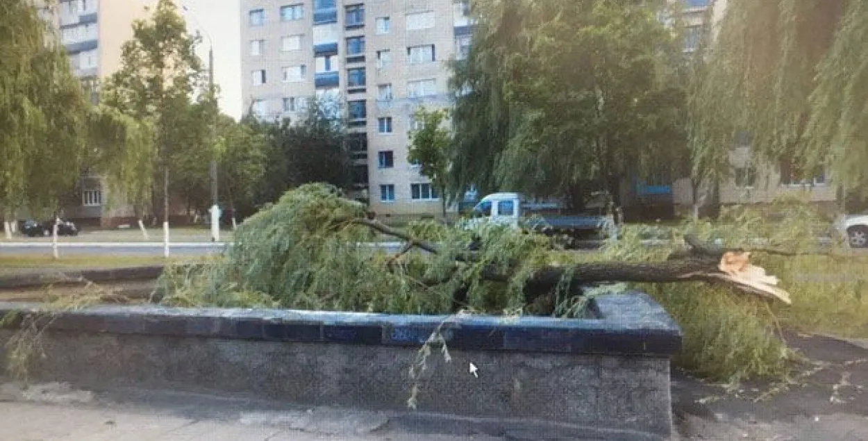 Мозырь / УСК по Гомельской области
