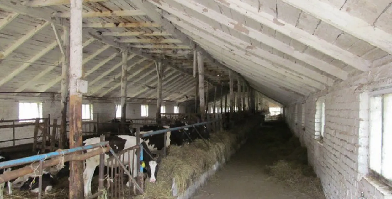 Фото: uvd-mo.gov.by