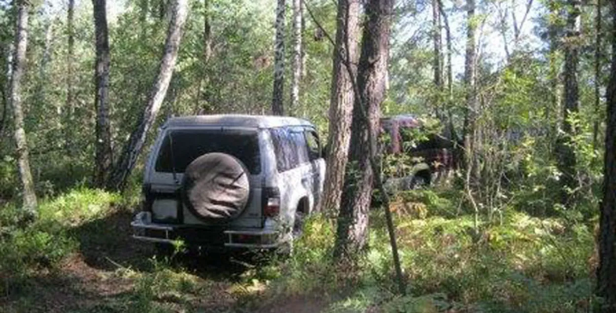 Брэсцкія памежнікі абстралялі кантрабандыстаў мяса (фота)