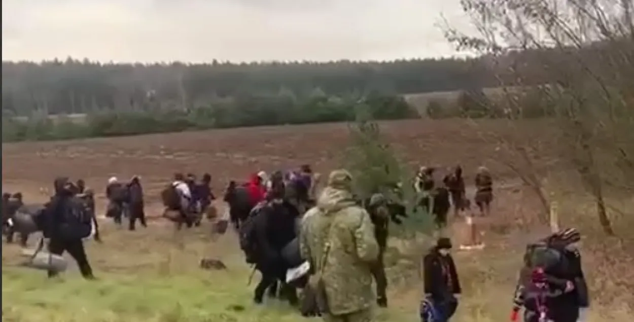 Вялікая група мігрантаў была заўважаная на дарозе Мінск — Гродна / скрыншот відэа