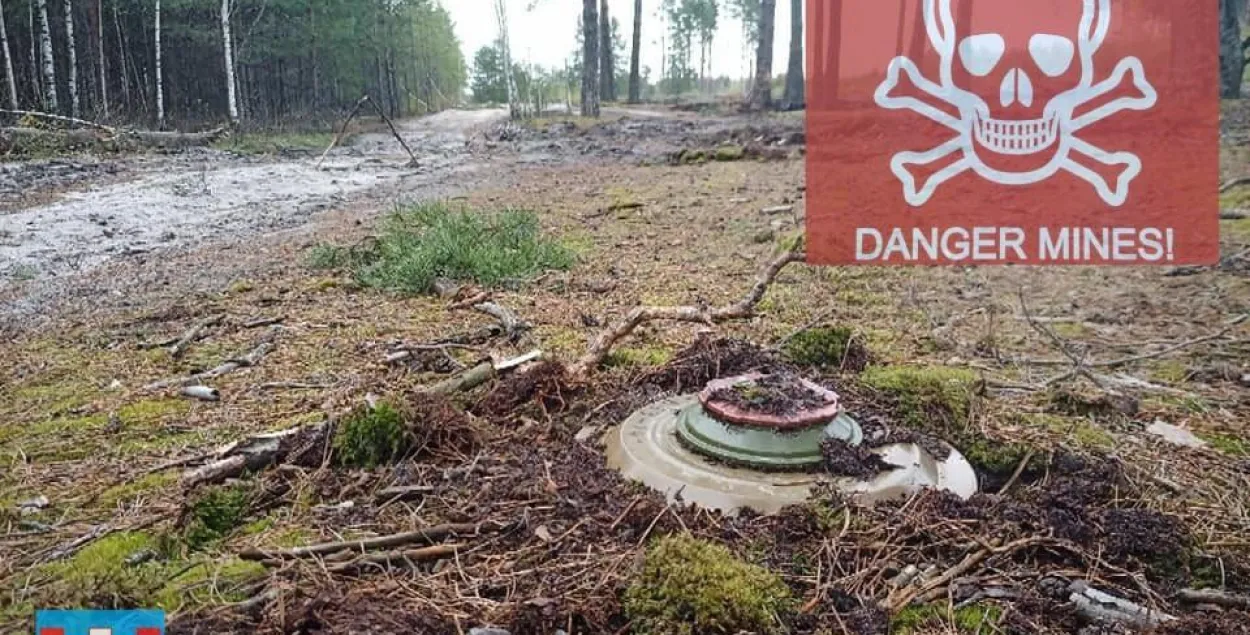 Украінцы замініравалі мяжу з Беларуссю ў Валынскай вобласці