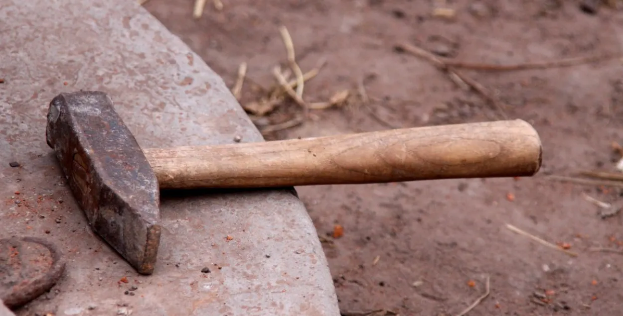 Гамяльчанін прызнаўся ў забойстве праз чатыры месяцы