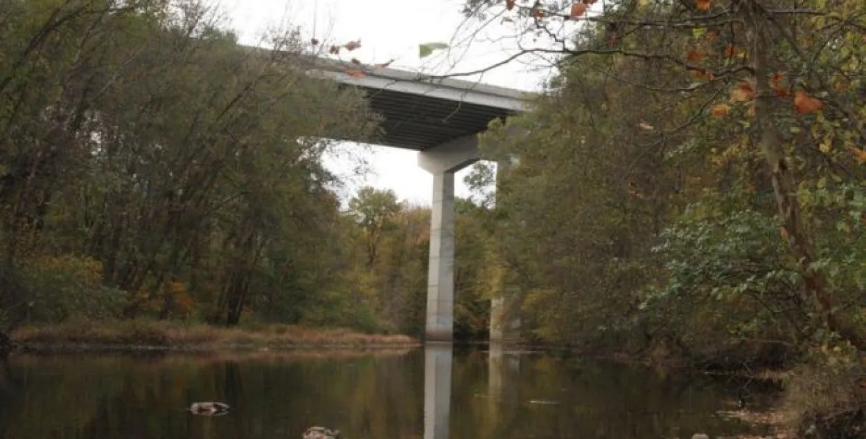 У ЗША двое маленькіх дзяцей выжылі пасля падзення з 30-метровага моста