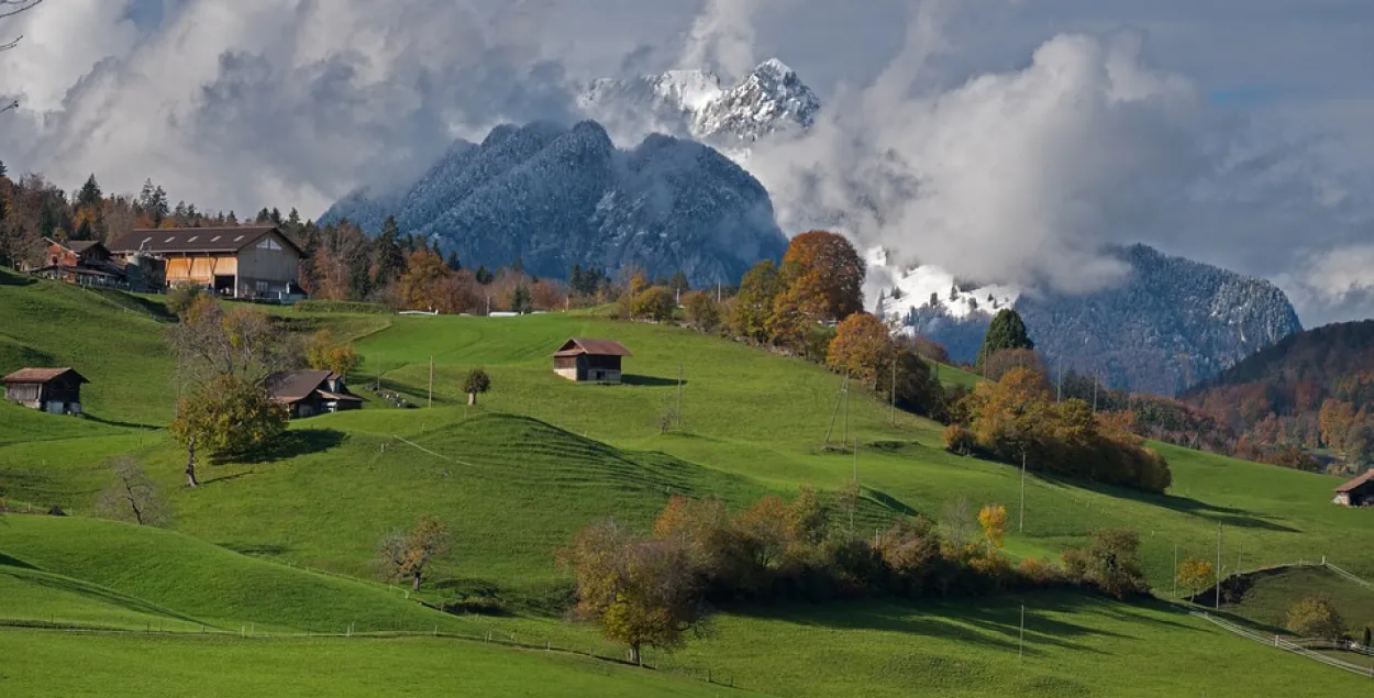 У Новай Зеландыі адмаўляюцца ад беларускіх угнаенняў на карысць канадскіх