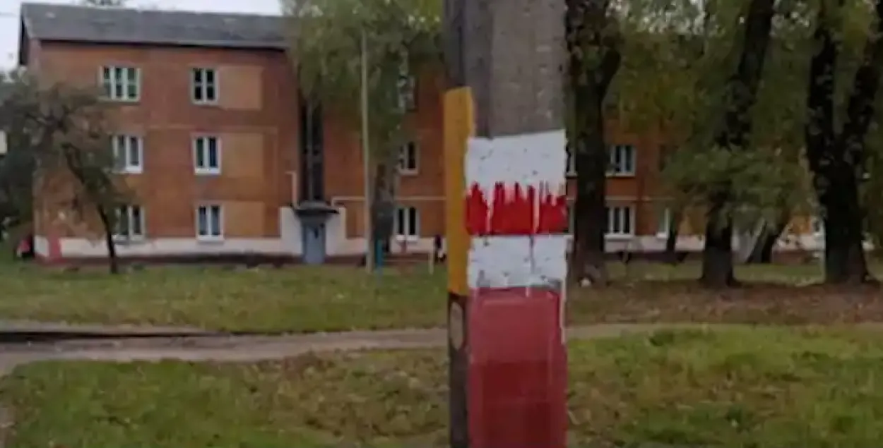Бело-красно-белый флаг, изображенный на столбе / Иллюстративное фото МВД