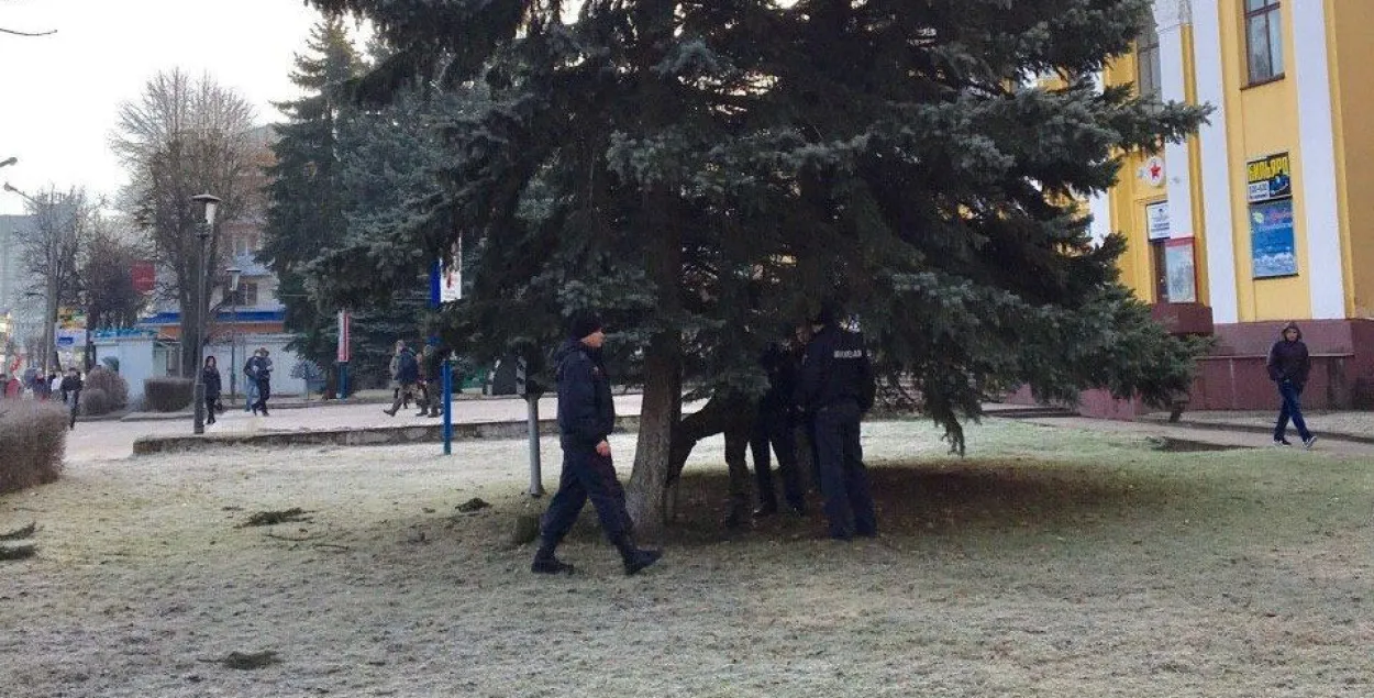 У Баранавічах мужчына залез на ёлку і выкрыкваў лозунгі