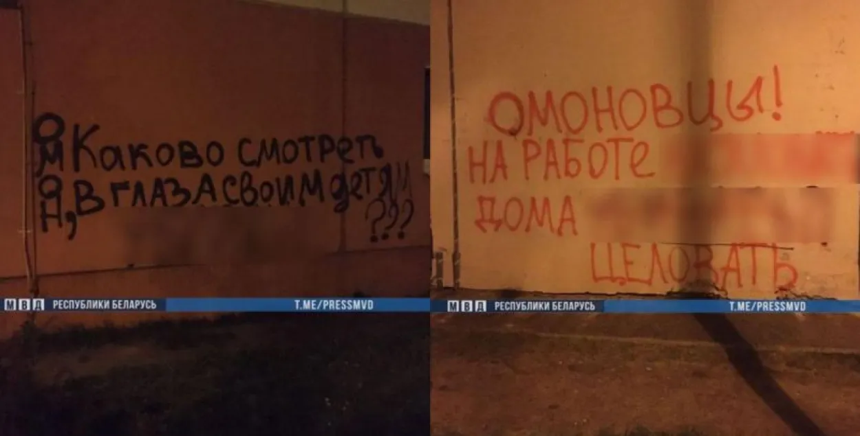 "Цынічныя надпісы", за якія аштрафавалі на 5400 рублёў / прэс-служба МУС