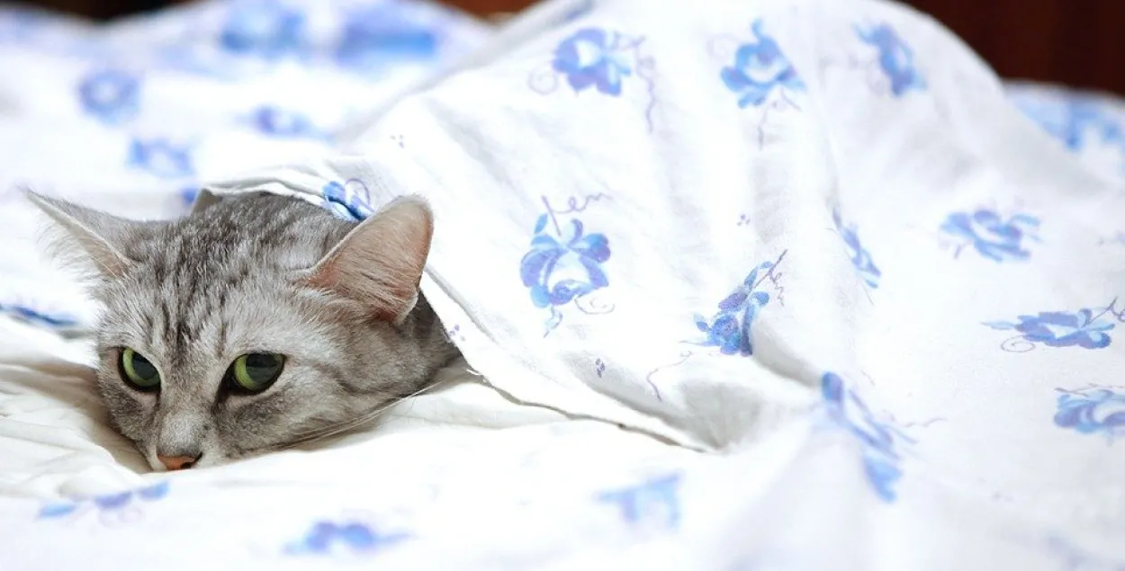 На доўгія выхадныя ў Беларусі чакаецца пахаладанне да -3