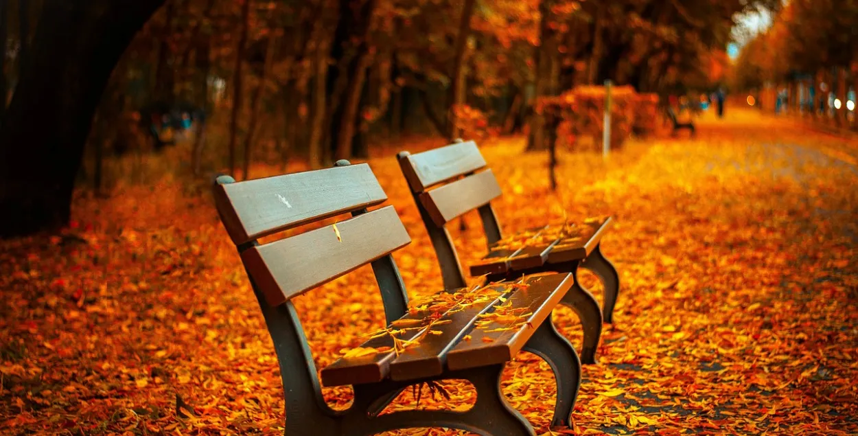 На выходных пацяплее: па поўдні Беларусі — да +20