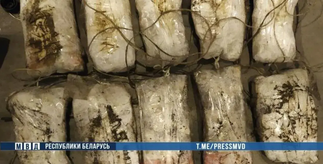 Героин, обнаруженный гродненскими правоохранителями / пресс-служба МВД