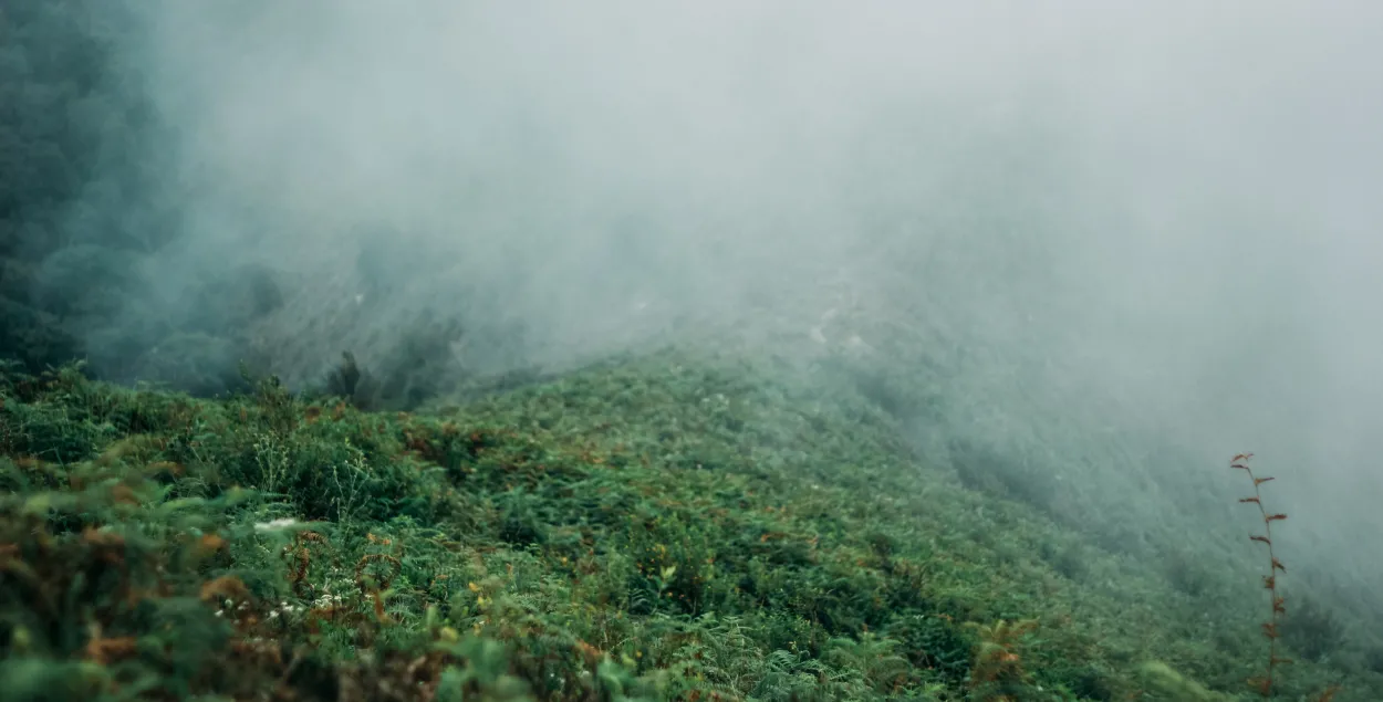 Нярэдка будуць дажджы і туман / unsplash
