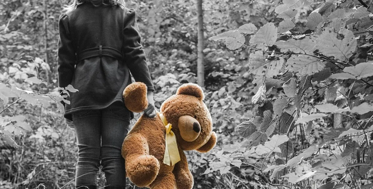 В Гродно задержали педофила / pixabay.com