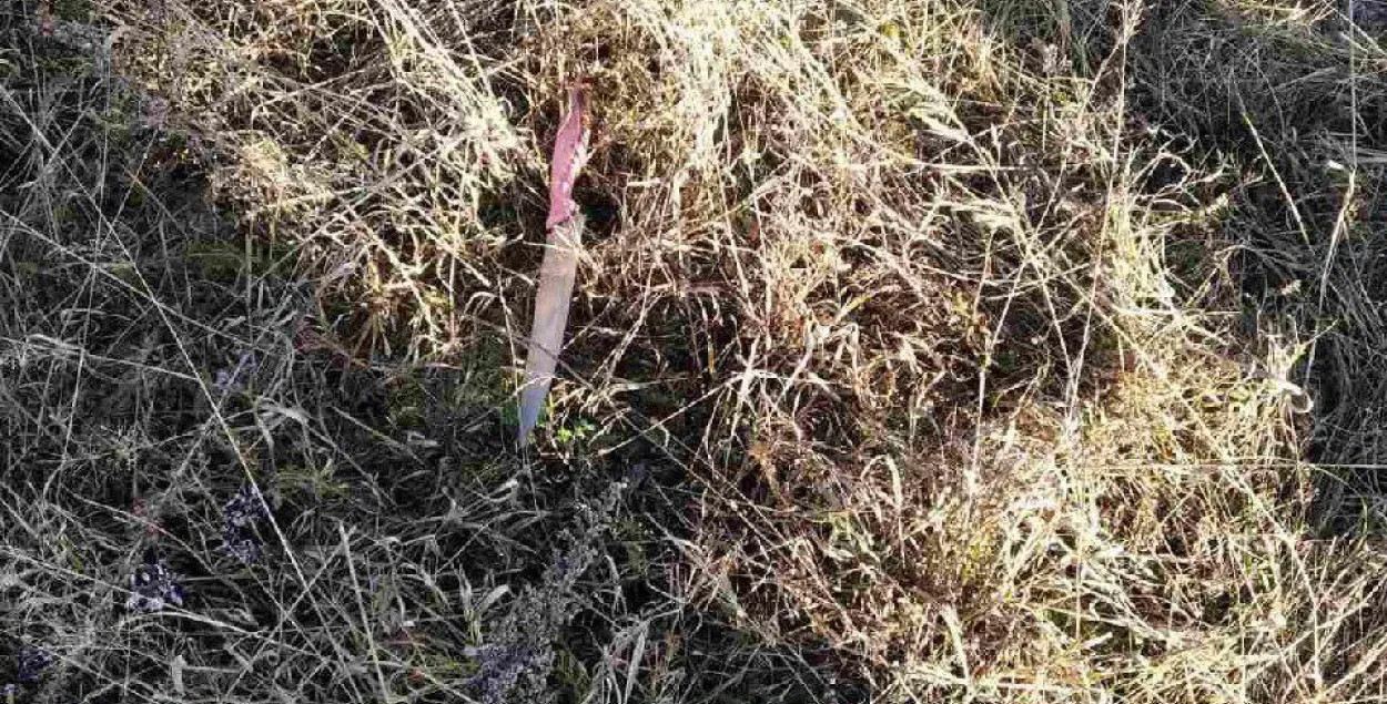  У Шклове міліцыянт падстрэліў мужчыну, які збег з "хіміі"