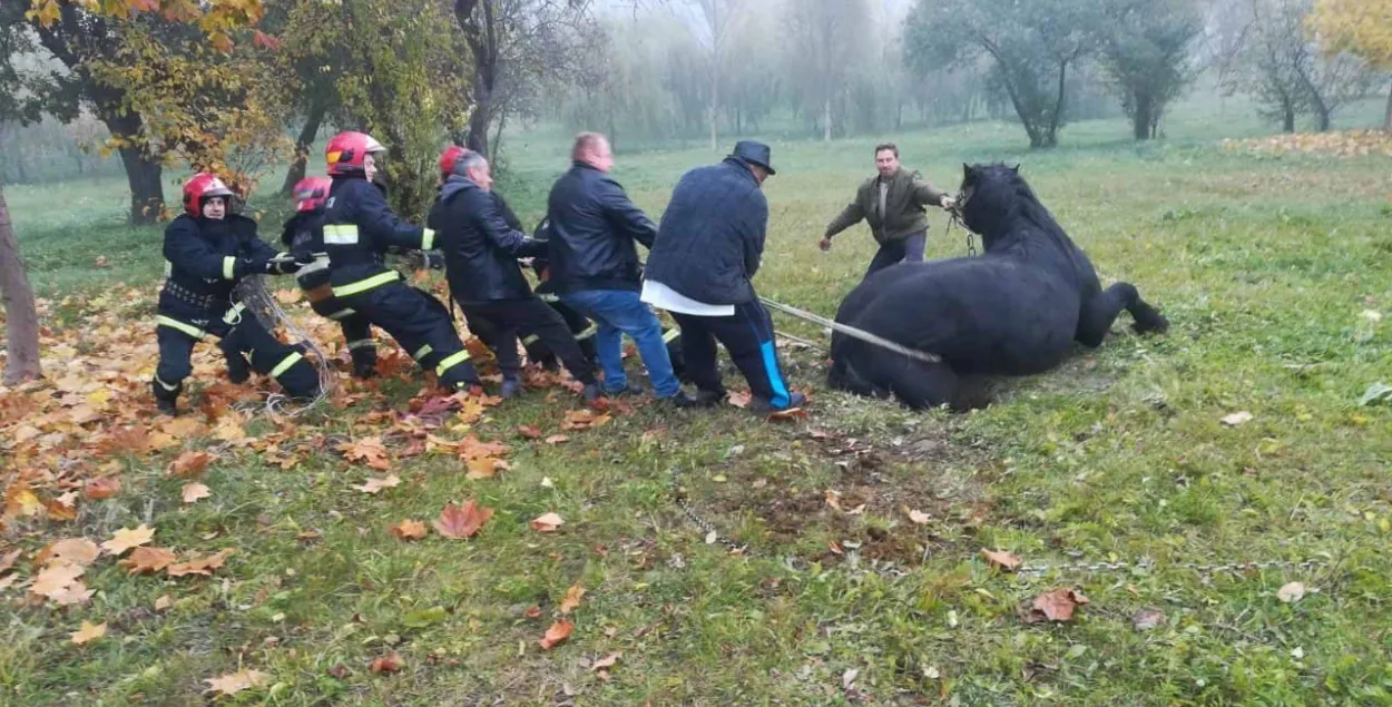 Ратавальнікі паведамляюць, што ніхто не пацярпеў / minsk.mchs.gov.by