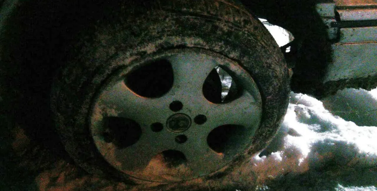 Фото: gaibrest.by