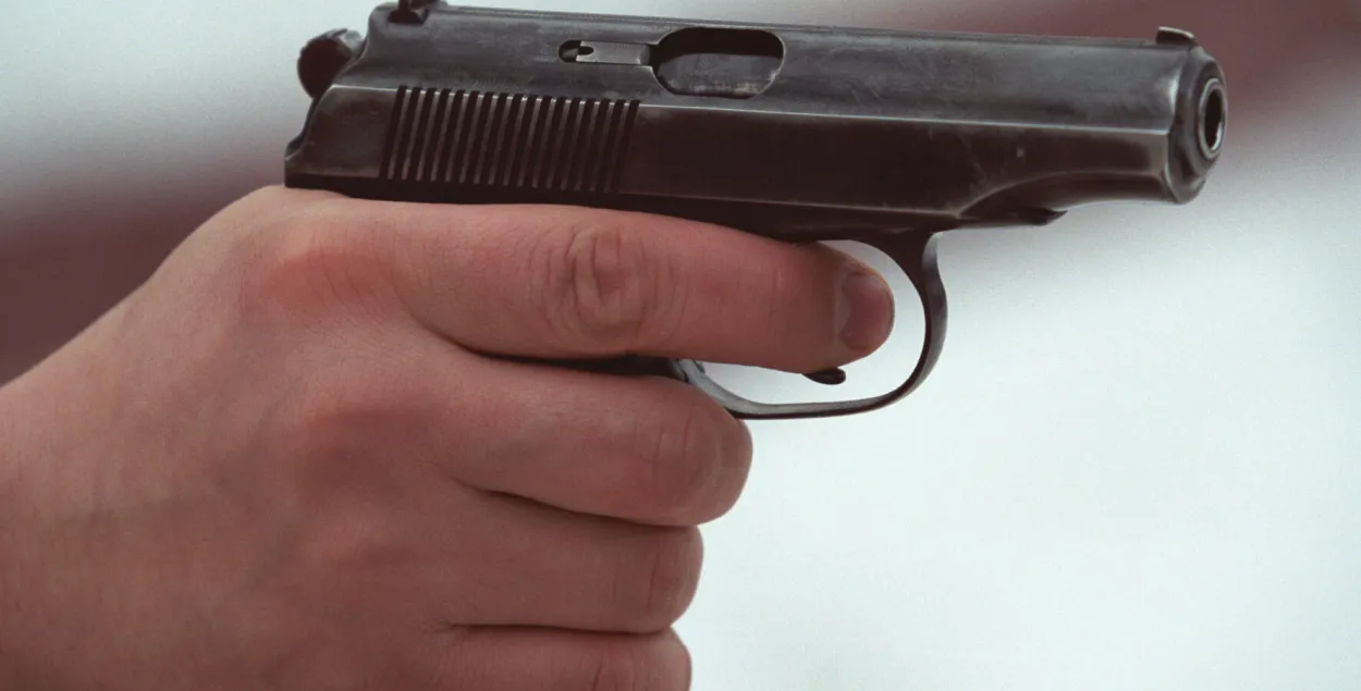 У цэнтры Нясвіжа міліцыянер расстраляў дзіка