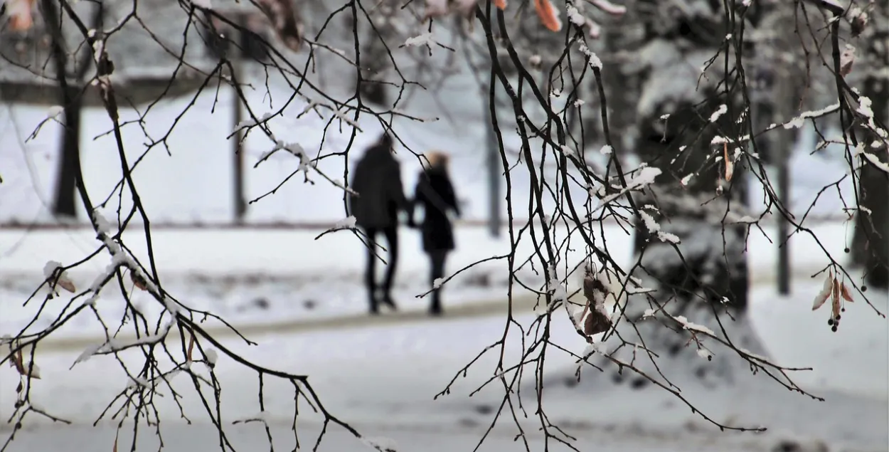 У апошні дзень зімы будзе ветрана / pixabay.com
