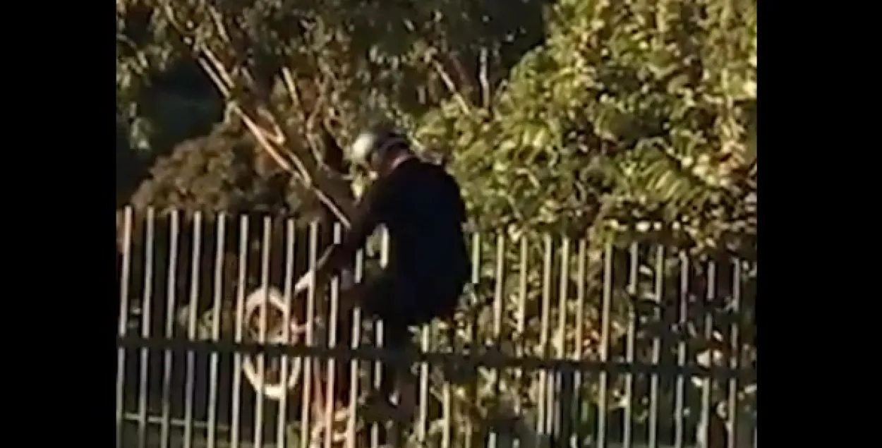 Раварыст-экстрэмал цудам пазбег траўмы (відэа)