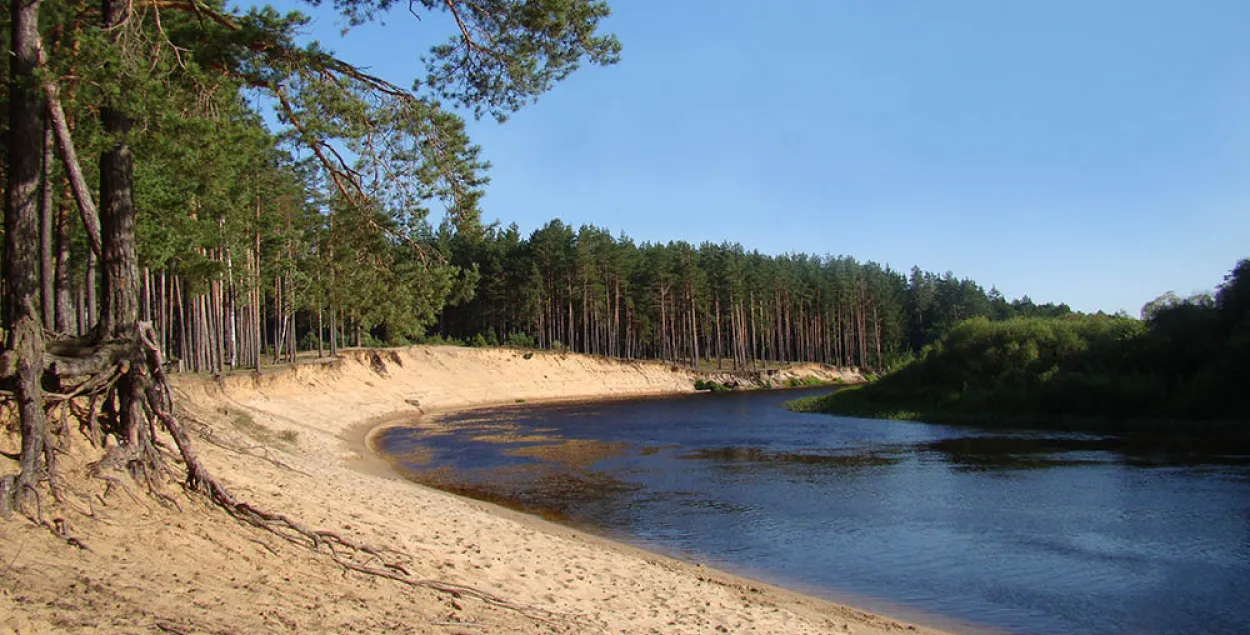 В Речицком районе 11-летнюю девочку и мужчину унесло течением Березины