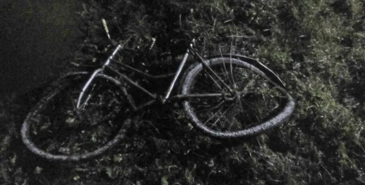 Фото: gaibrest.by